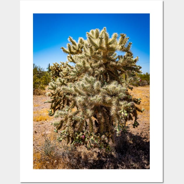 Cholla Cactus along the Apache Trail Wall Art by Gestalt Imagery